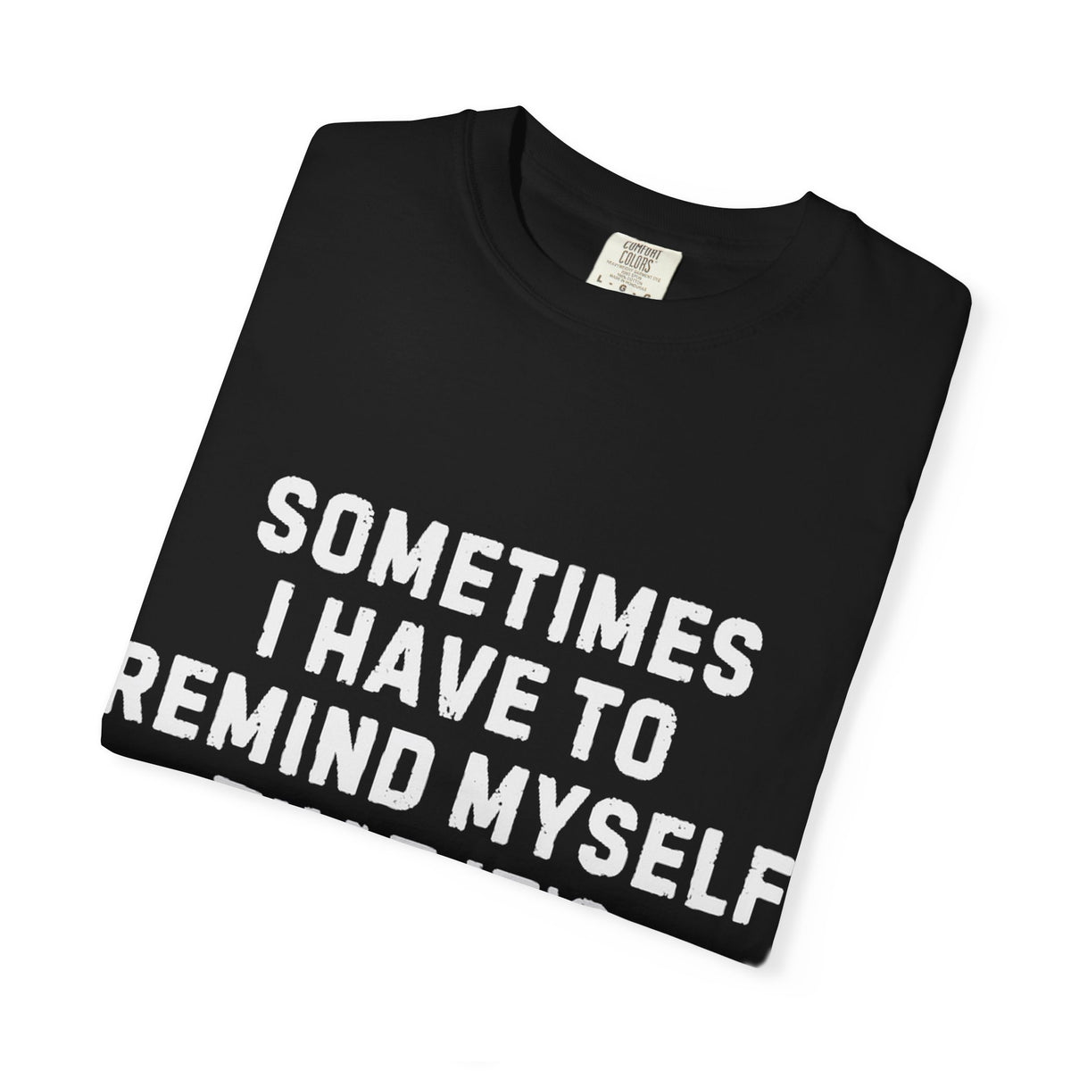 Not Worth the Jail Time Funny Comfort Colors T-Shirt
