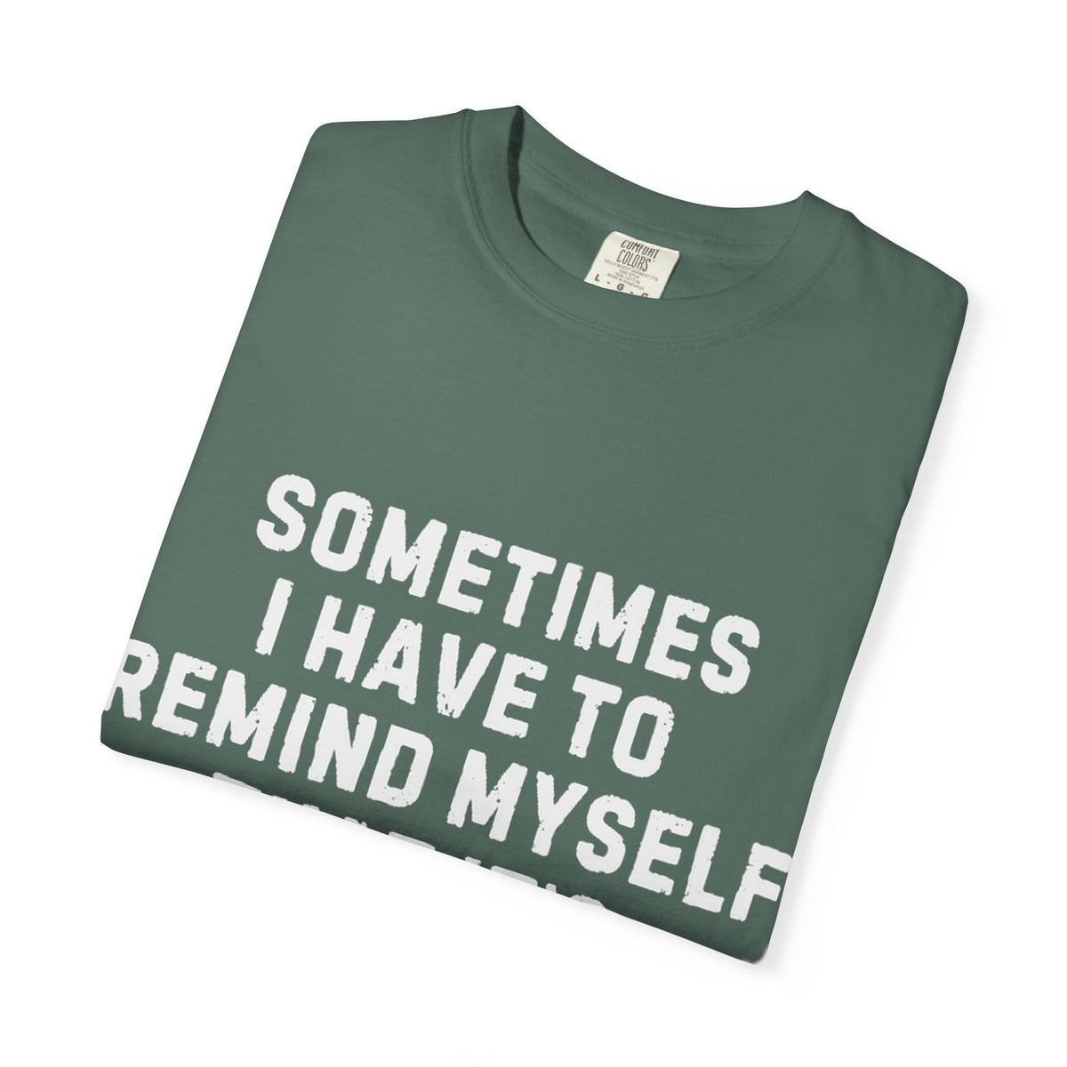 Not Worth the Jail Time Funny Comfort Colors T-Shirt