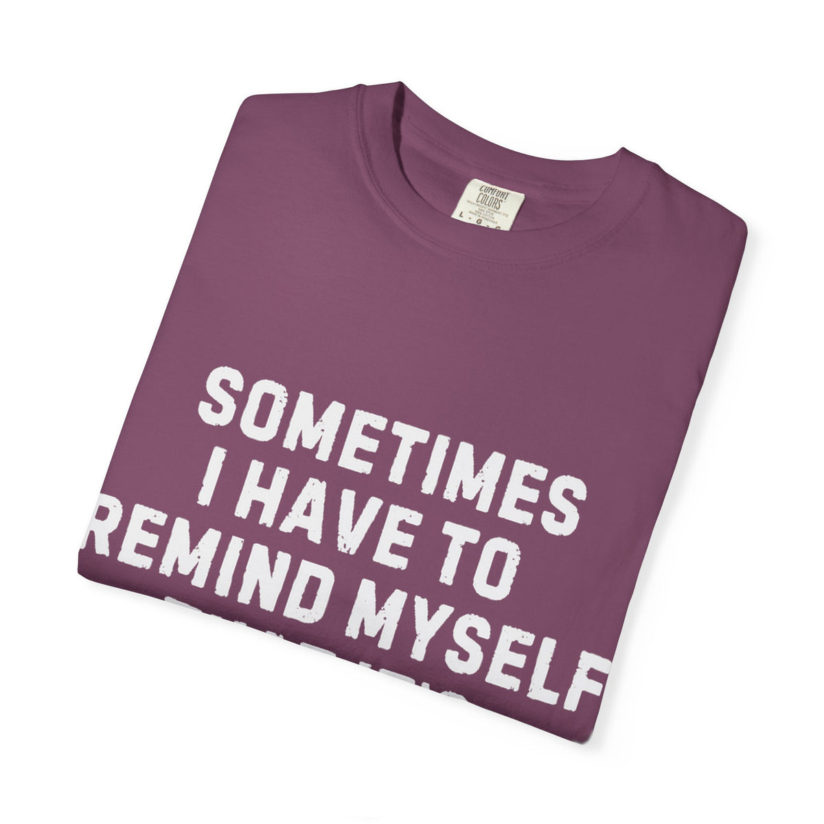 Not Worth the Jail Time Funny Comfort Colors T-Shirt