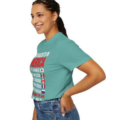 Dear Racists in America Anti-Racism Comfort Colors Tee