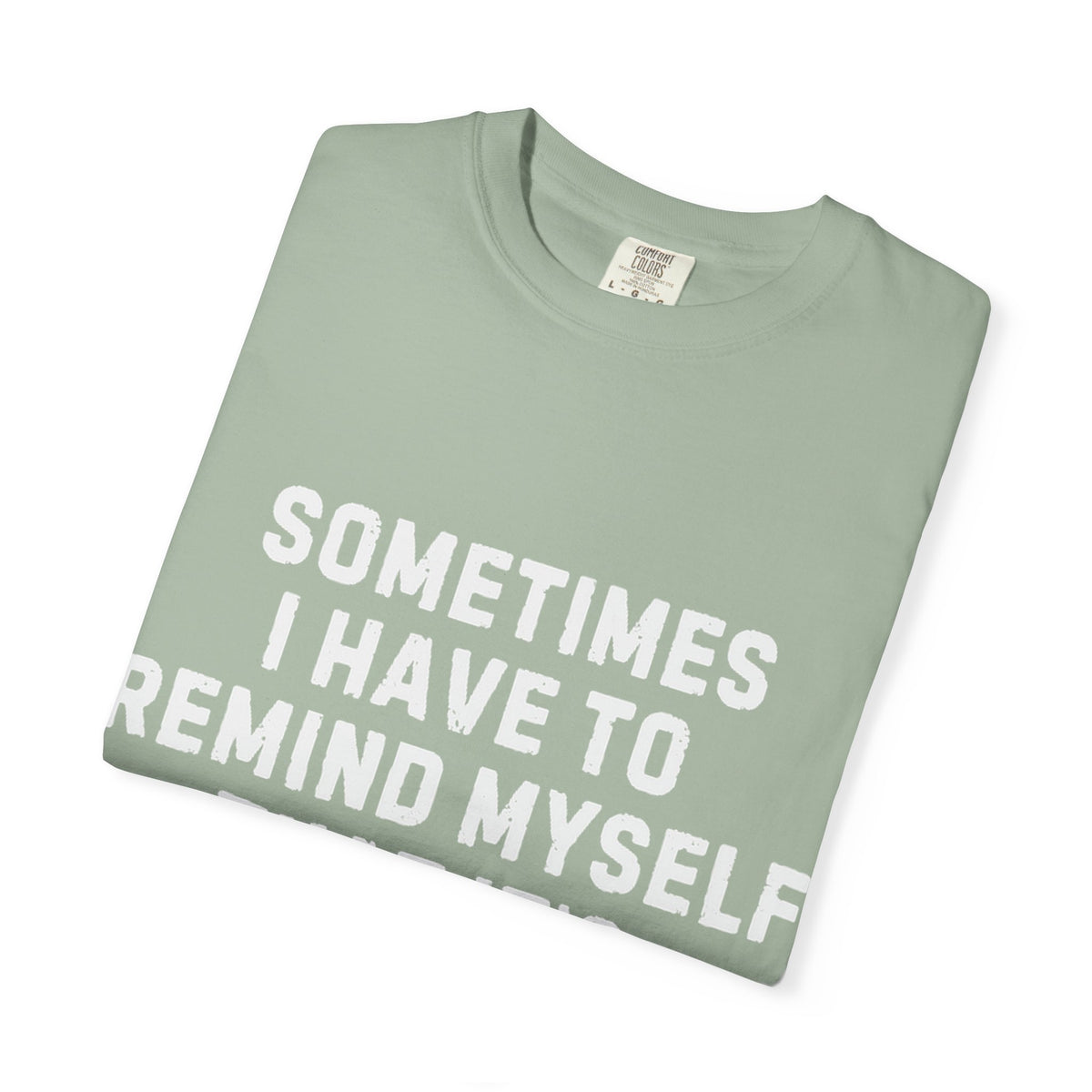Not Worth the Jail Time Funny Comfort Colors T-Shirt