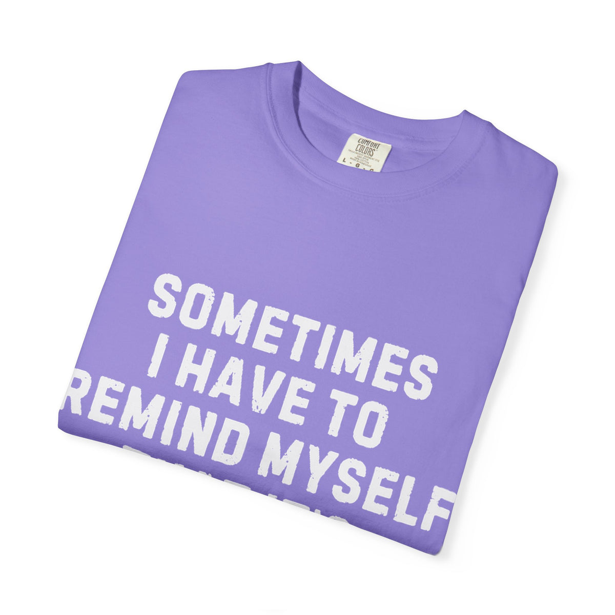 Not Worth the Jail Time Funny Comfort Colors T-Shirt