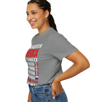 Dear Racists in America Anti-Racism Comfort Colors Tee