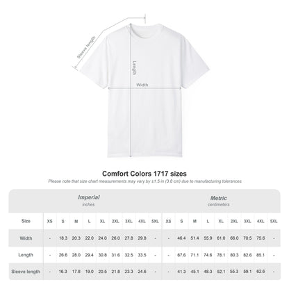 Arguing With Me Is Pointless Funny Comfort Colors Tee