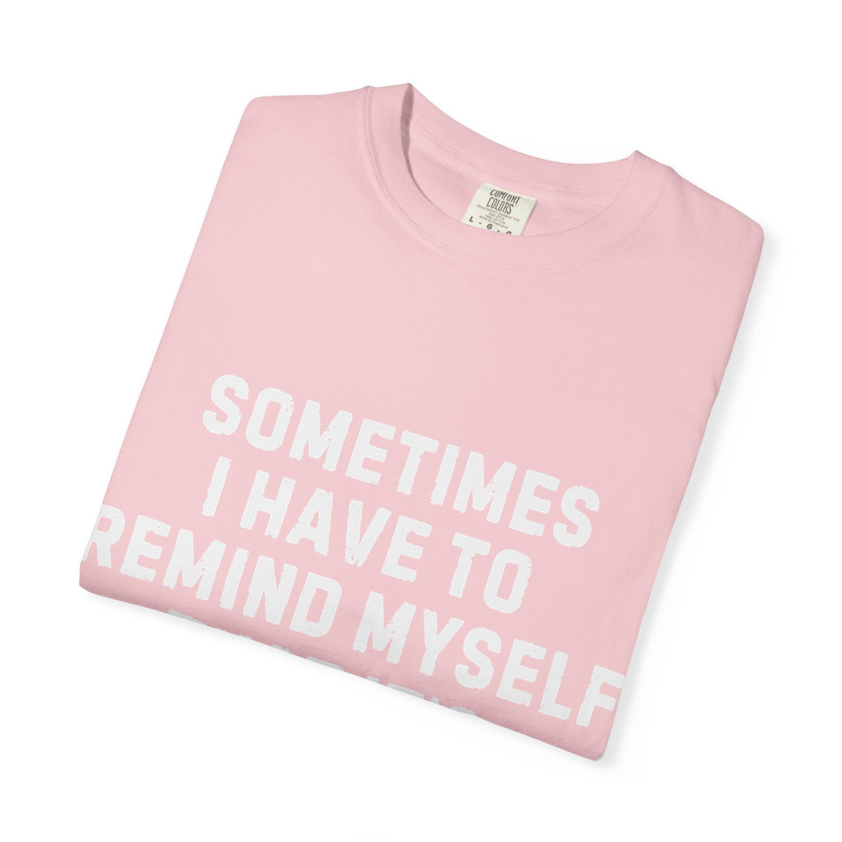 Not Worth the Jail Time Funny Comfort Colors T-Shirt